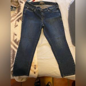 TORRID Jeans Size 14S